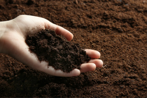 Сохранение углерода в почве. ЦМП им. В.В. Докучаева