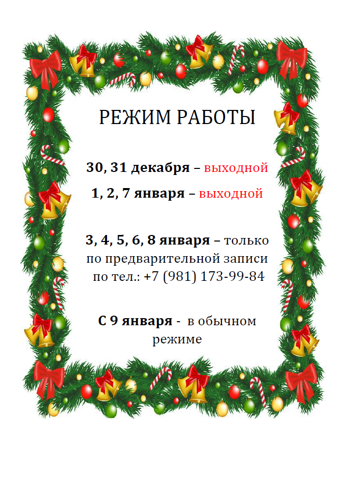 Режим работы Музея в Новогодние праздники 2023. ЦМП им. В.В. Докучаева