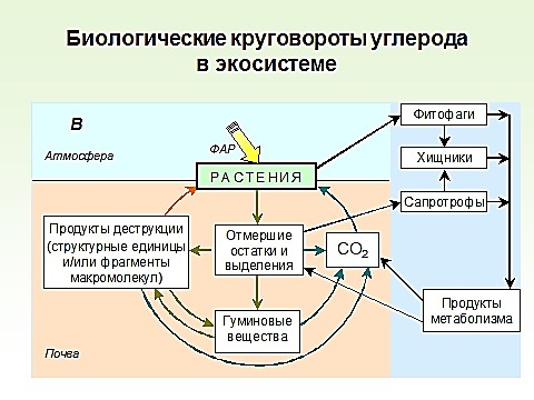 Многоликая ГЕО. ФГБНУ ЦМП им. В.В. Докучаева