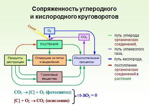 Многоликая ГЕО. ФГБНУ ЦМП им. В.В. Докучаева