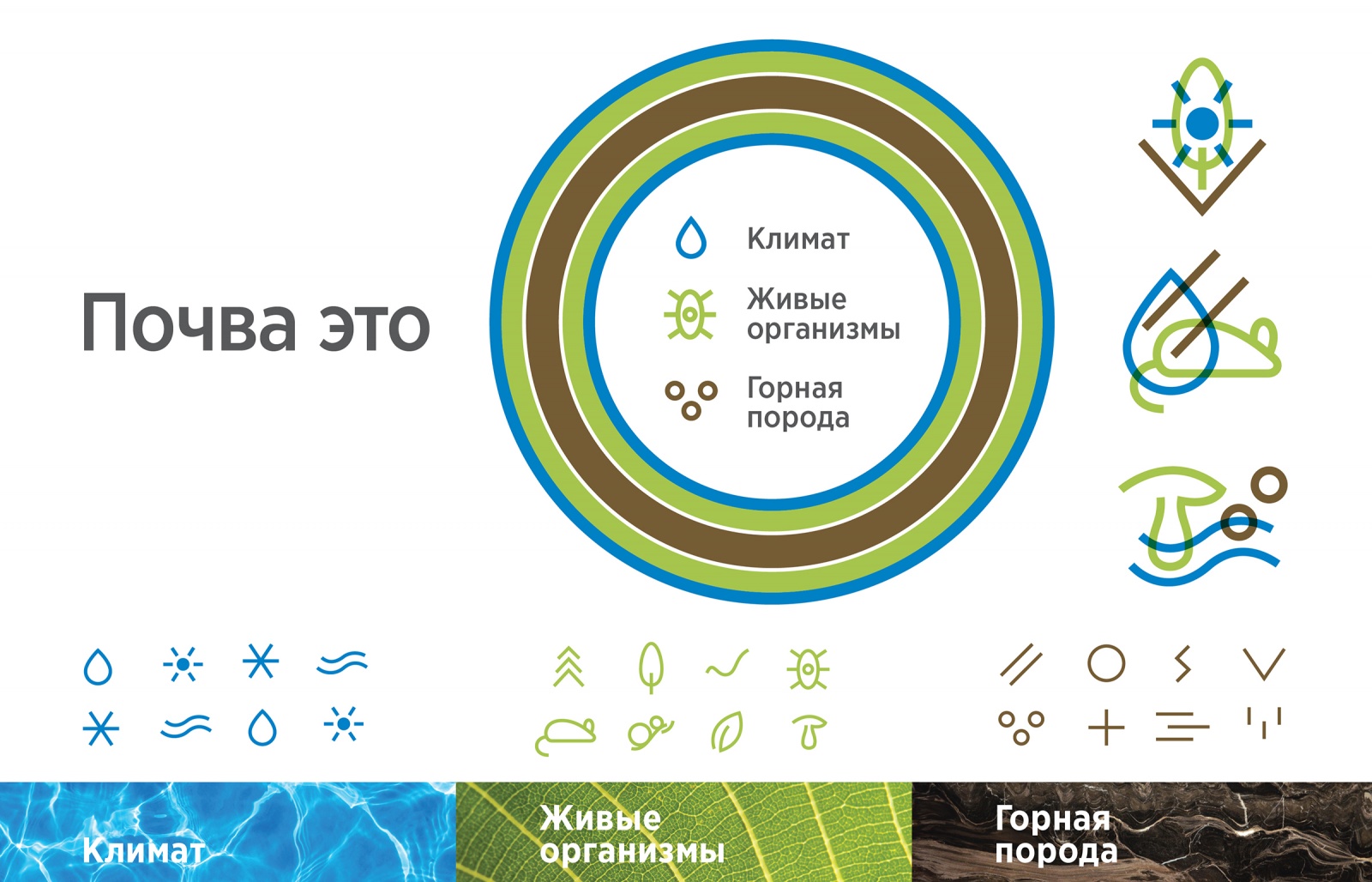 Что такое почва? ФГБНУ Центральный музей почвоведения им. В.В. Докучаева