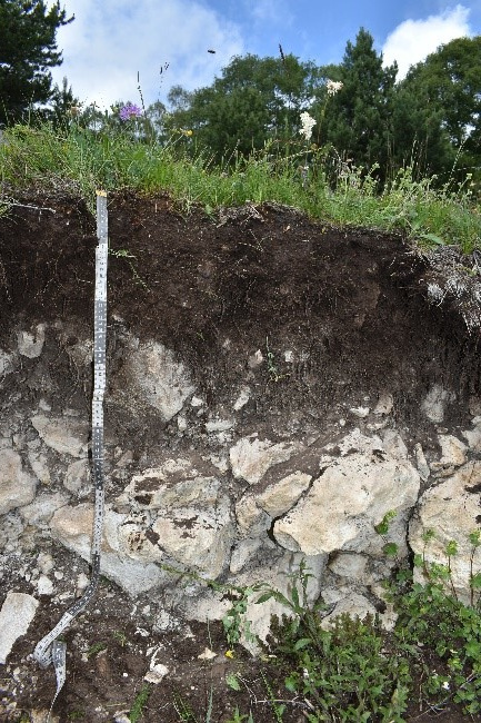 Экспедиция «Республика Дагестан». Карболитозем. ЦМП им. В.В. Докучаева Экспедиция «Республика Дагестан». Карболитозем. ЦМП им. В.В. Докучаева