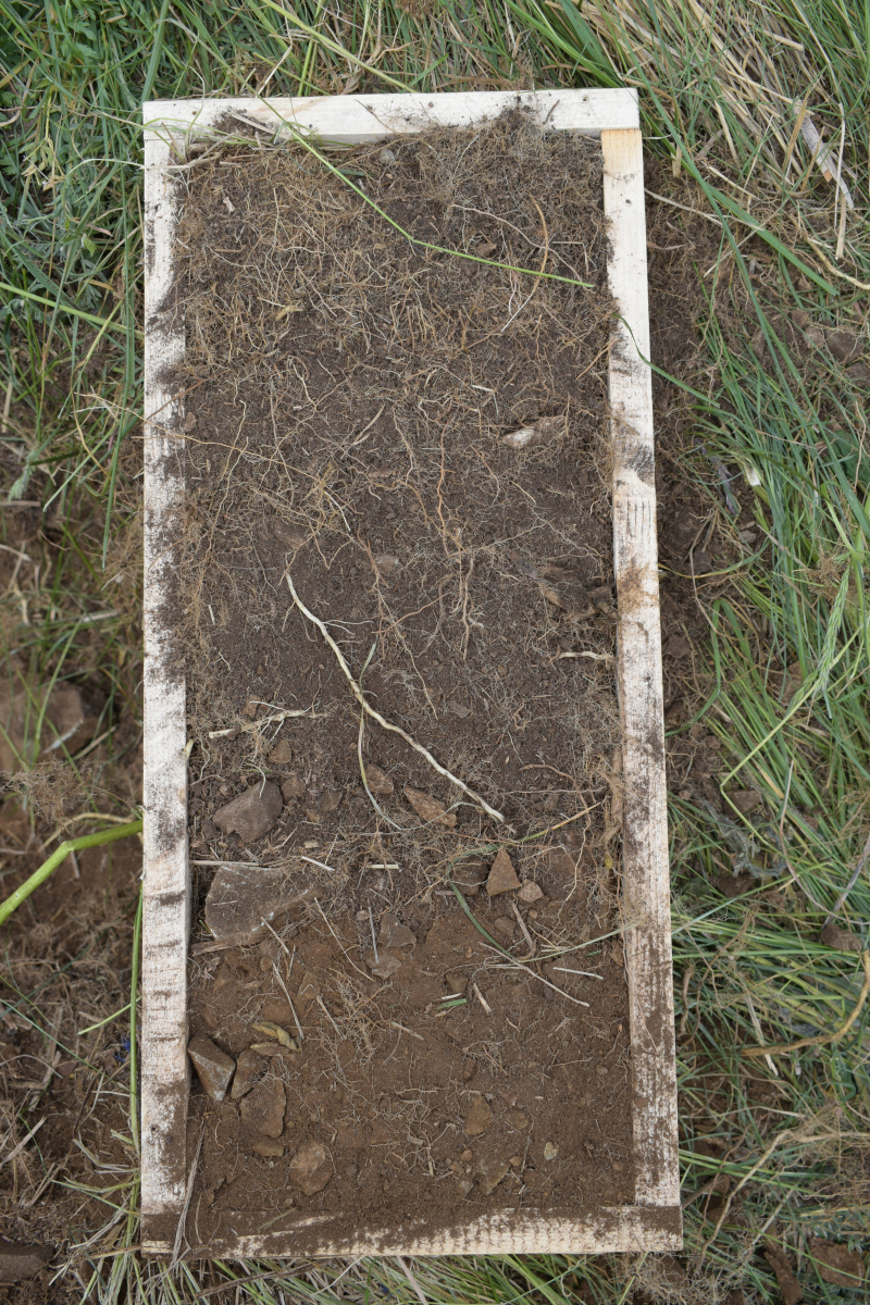 Почвенные монолиты. Экспедиция. Кавказ. ЦМП им. В.В. Докучаева