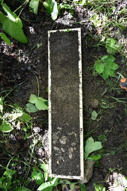 Экспедиция «Республика Дагестан». Искусственно созданная. ЦМП им. В.В. Докучаева Экспедиция «Республика Дагестан». Искусственно созданная. ЦМП им. В.В. Докучаева