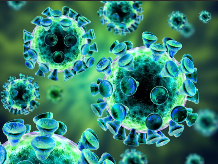 Большая регата_2019-2020