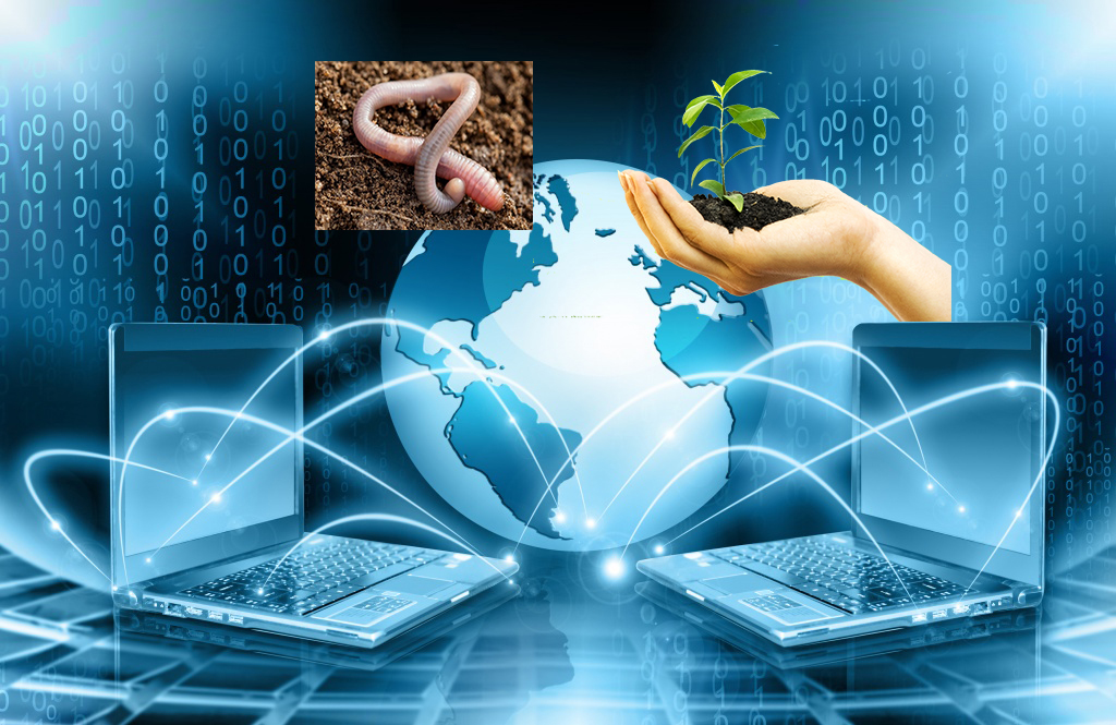 Червяк-робот. ЦМП им. В.В. Докучаева