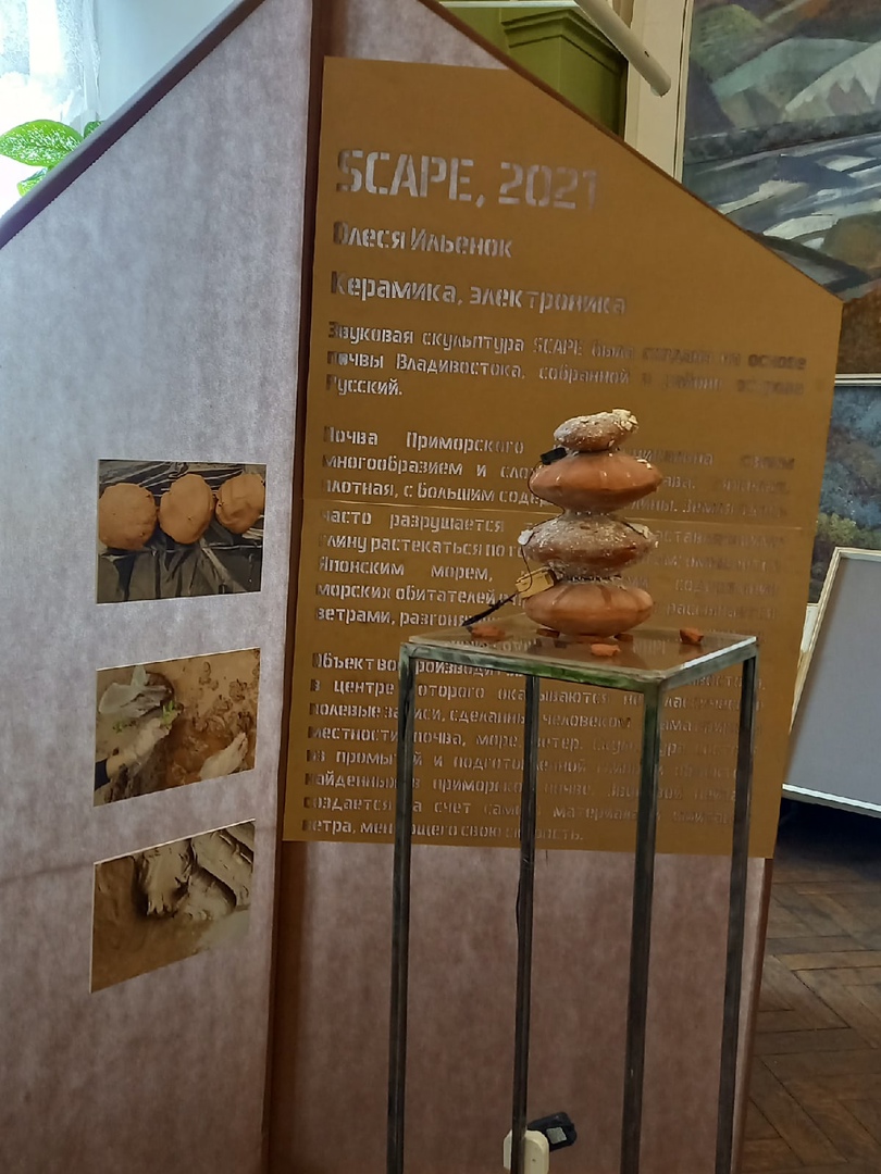 SCAPE, 2021. Выставка Заземление. ЦМП им. В.В. Докучаева