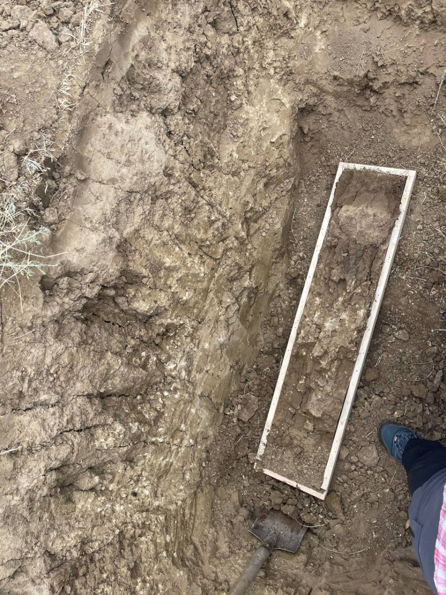 Экспедиция «Республика Дагестан». Каштановая почва. ЦМП им. В.В. Докучаева Экспедиция «Республика Дагестан». Каштановая почва. ЦМП им. В.В. Докучаева