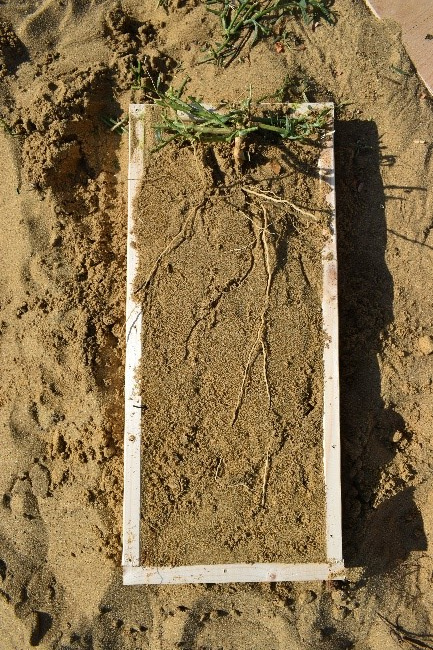 Экспедиция «Республика Дагестан». ЦМП им. В.В. Докучаева Экспедиция «Республика Дагестан». ЦМП им. В.В. Докучаева