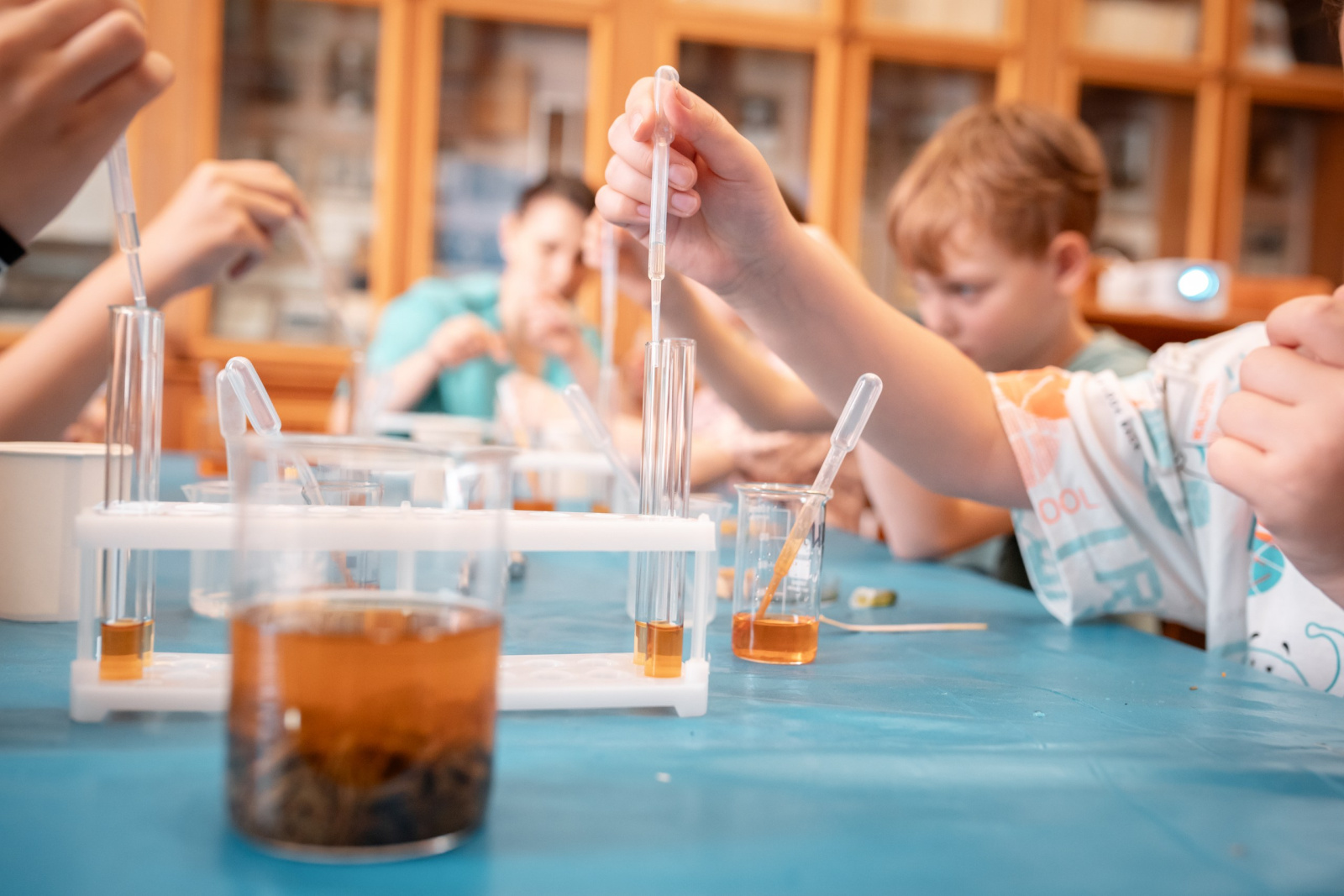 Лаборатория «Внутренний мир растений». Фотоотчет. ЦМП им. В.В. Докучаева