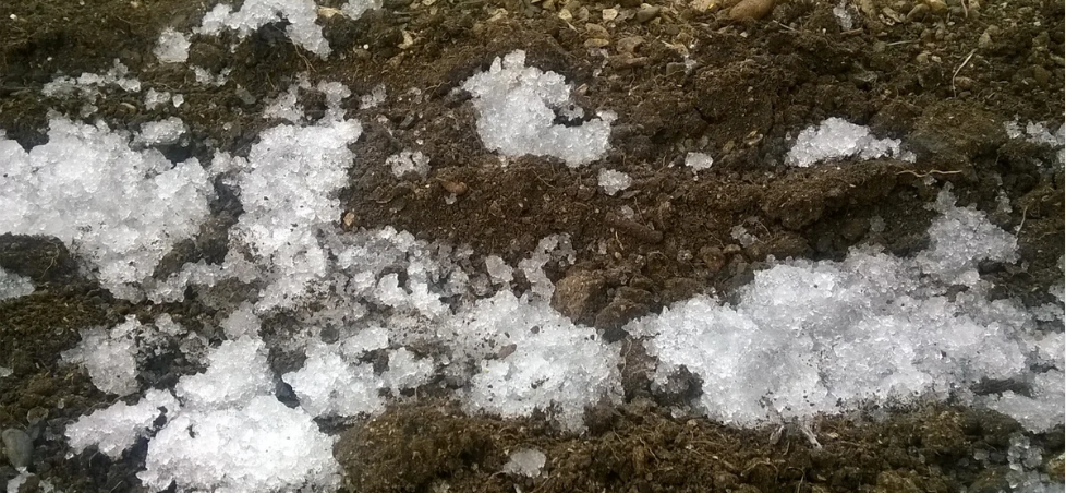 Дорожные соли. ЦМП им. В.В. Докучаева