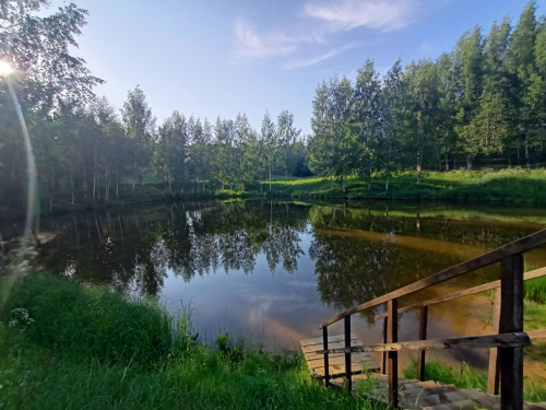 Однодневные выездные экскурсии «Прогулки с почвоведом». ЦМП им. В.В. Докучаева