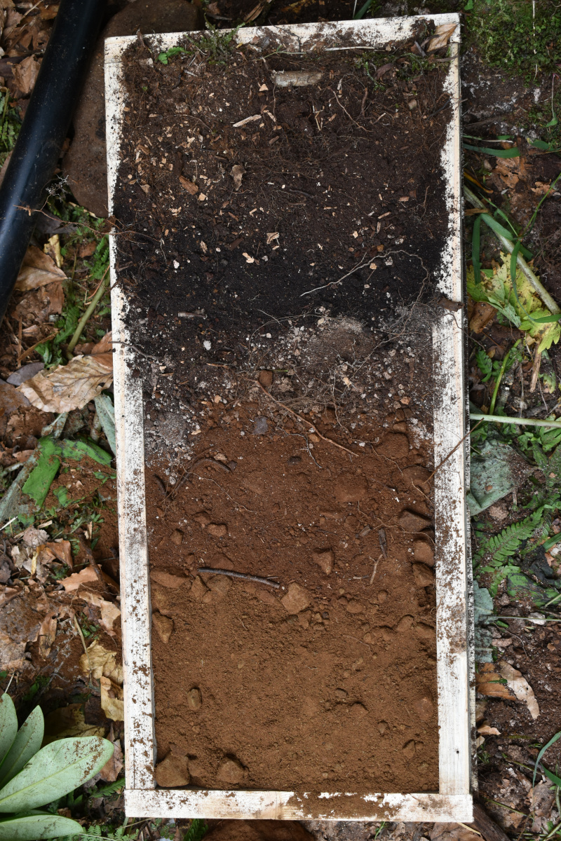 Почвенные монолиты. Экспедиция. Кавказ. ЦМП им. В.В. Докучаева