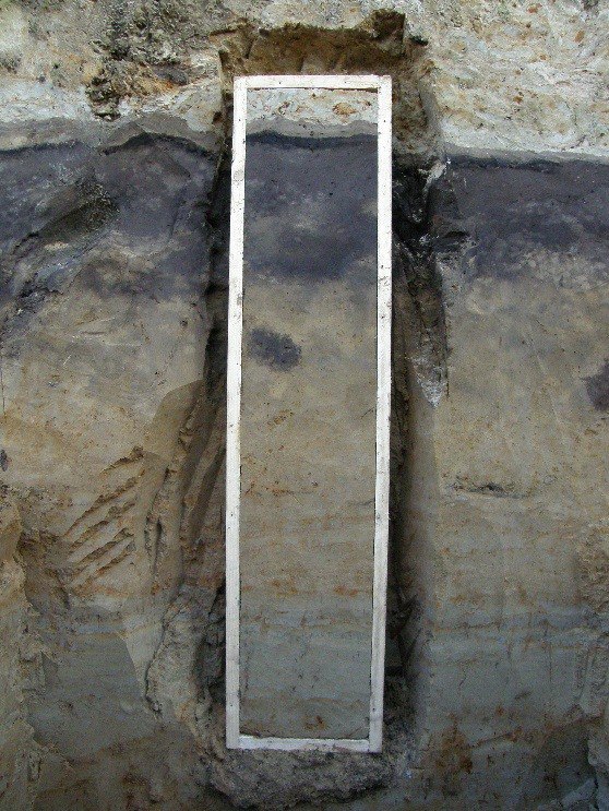 Погребенная темногумусовая оглеенная почва. ЦМП им. В.В. Докучаева