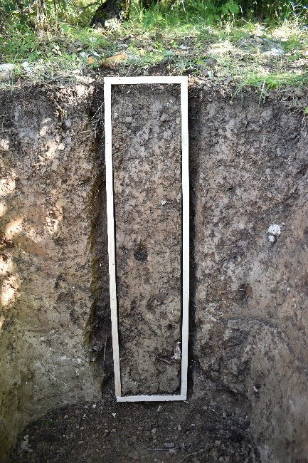 Экспедиция «Республика Дагестан». Коричневая почва. ЦМП им. В.В. Докучаева Экспедиция «Республика Дагестан». Коричневая почва. ЦМП им. В.В. Докучаева