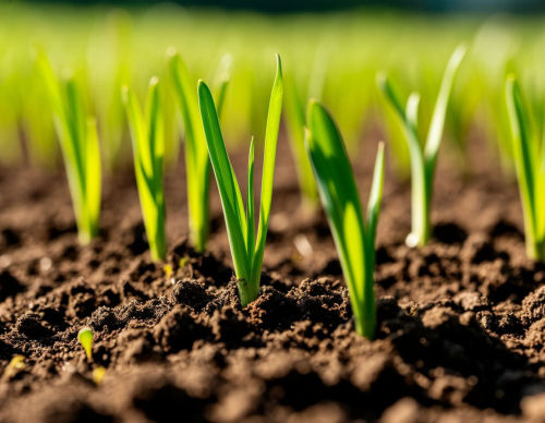 Зеленая лаборатория: от хлоропласта к гумусу. Абонемент. ЦМП им. В.В. Докучаева Зеленая лаборатория: от хлоропласта к гумусу. Абонемент. ЦМП им. В.В. Докучаева