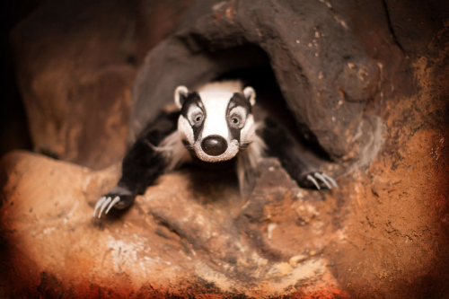 Внимание!!! Бесплатная экскурсия. Подземное царство. ЦМП им. В.В. Докучаева