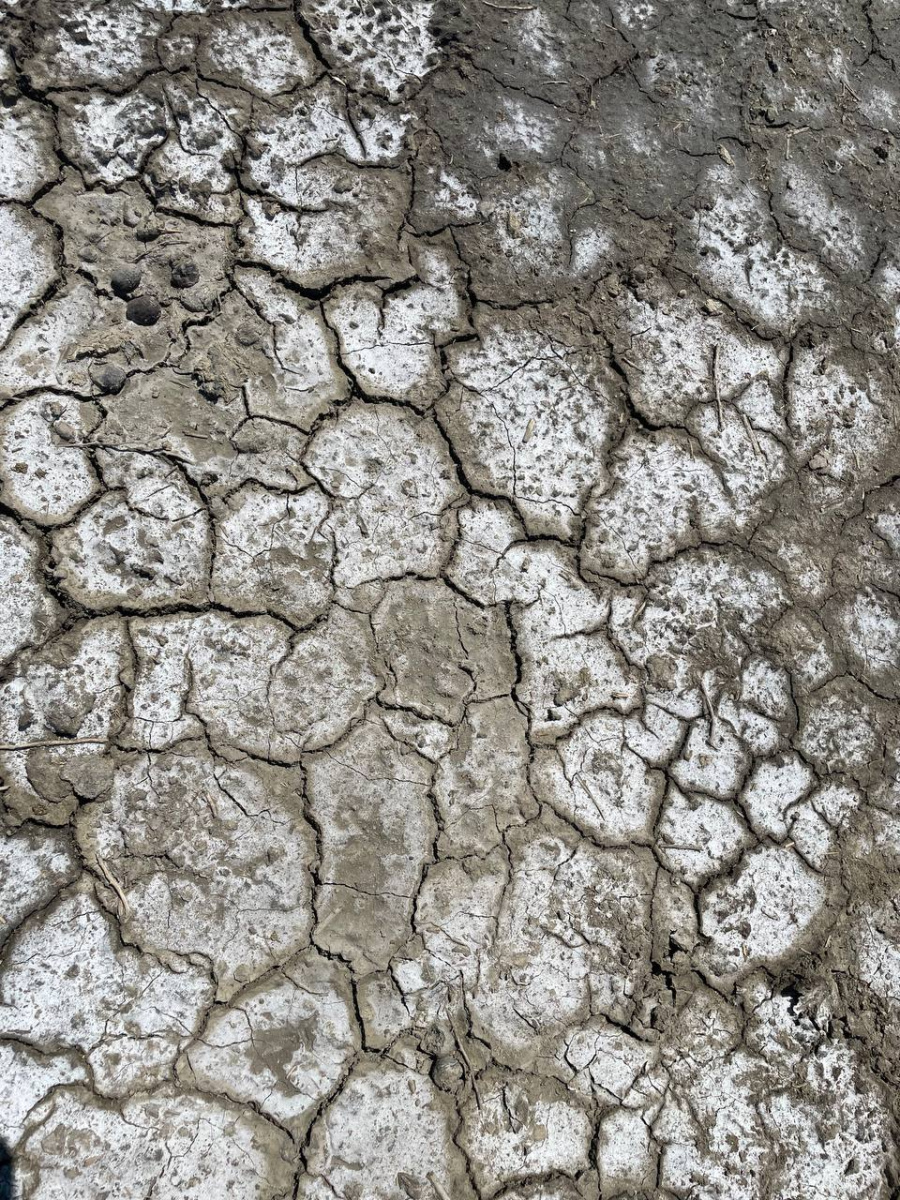 Экспедиция «Республика Дагестан». Солончак. ЦМП им. В.В. Докучаева Экспедиция «Республика Дагестан». Солончак. ЦМП им. В.В. Докучаева