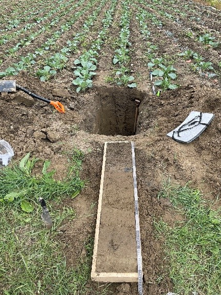 Экспедиция «Республика Дагестан». ЦМП им. В.В. Докучаева Экспедиция «Республика Дагестан». ЦМП им. В.В. Докучаева