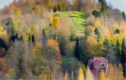 Экскурсия «Дудергофские высоты». ЦМП им. В.В. Докучаева