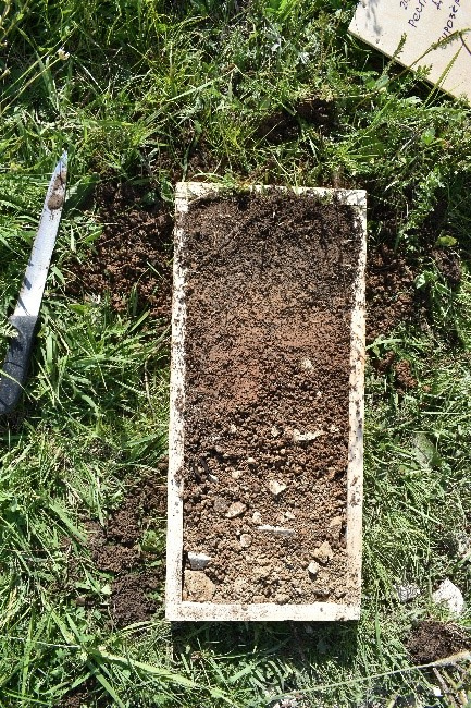 Экспедиция «Республика Дагестан». Бурозем. ЦМП им. В.В. Докучаева Экспедиция «Республика Дагестан». Бурозем. ЦМП им. В.В. Докучаева