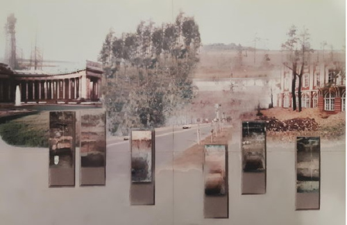 Лекция «Почвы Петербурга петровского времени». ЦМП им. В.В. Докучаева